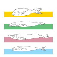 Illustration: Anna Conradi