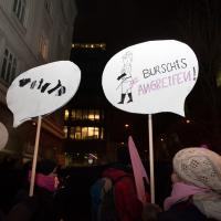 Bunter und kreativer Protest gegen den „Akademikerball“ im Januar 2013. Foto: Luiza Puiu