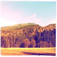 Foto: Cinja Langauer Foto: Cinja Langauer