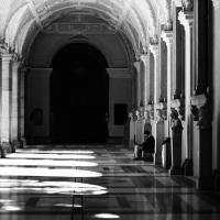 Foto: Viktor Dobai Foto: Viktor Dobai