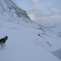 (c) Daniela Sulz (c) Daniela Sulz