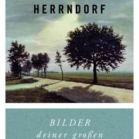 Wolfgang Herrndorf: Bilder deiner großen Liebe