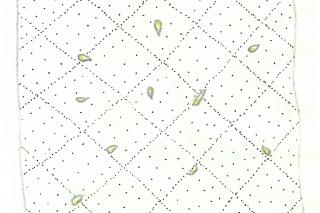 Illustration: Ulrike Krawagna