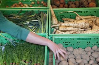 Gemüsekisten in einer foodcoop