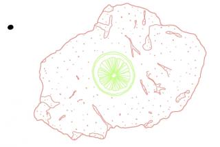 Illustration eines Wiener Schnitzels mit einer Zitronenscheibe. Illustration: Christina Uhl 