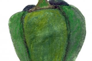 Illustration: Ulrike Krawagna