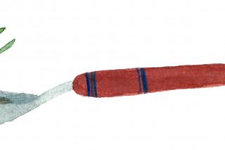 Illustration: Ulrike Krawagna